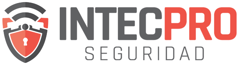 Seguridad IntecPro